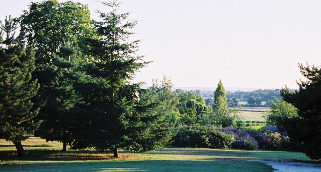 Le Logis Du Pressoir Chambre D'Hotes Bed & Breakfast In Beautiful 18Th Century Estate In The Heart Of The Loire Valley With Heated Pool And Extensive Grounds Acomodação com café da manhã Les Bois-d'Anjou Exterior foto